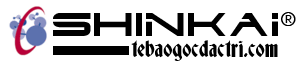 SHINKAI VN